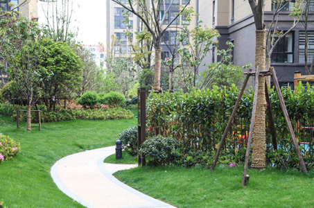 ��ľ��ֲ����